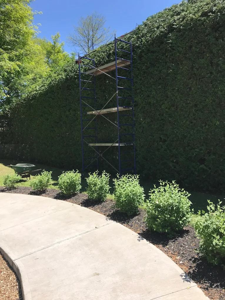 Terrain résidentiel - Finition bordures